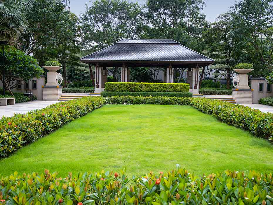 中骏四季阳光