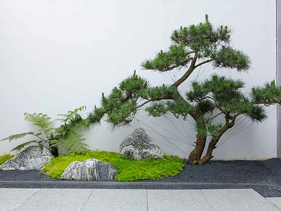 万科•白鹭郡